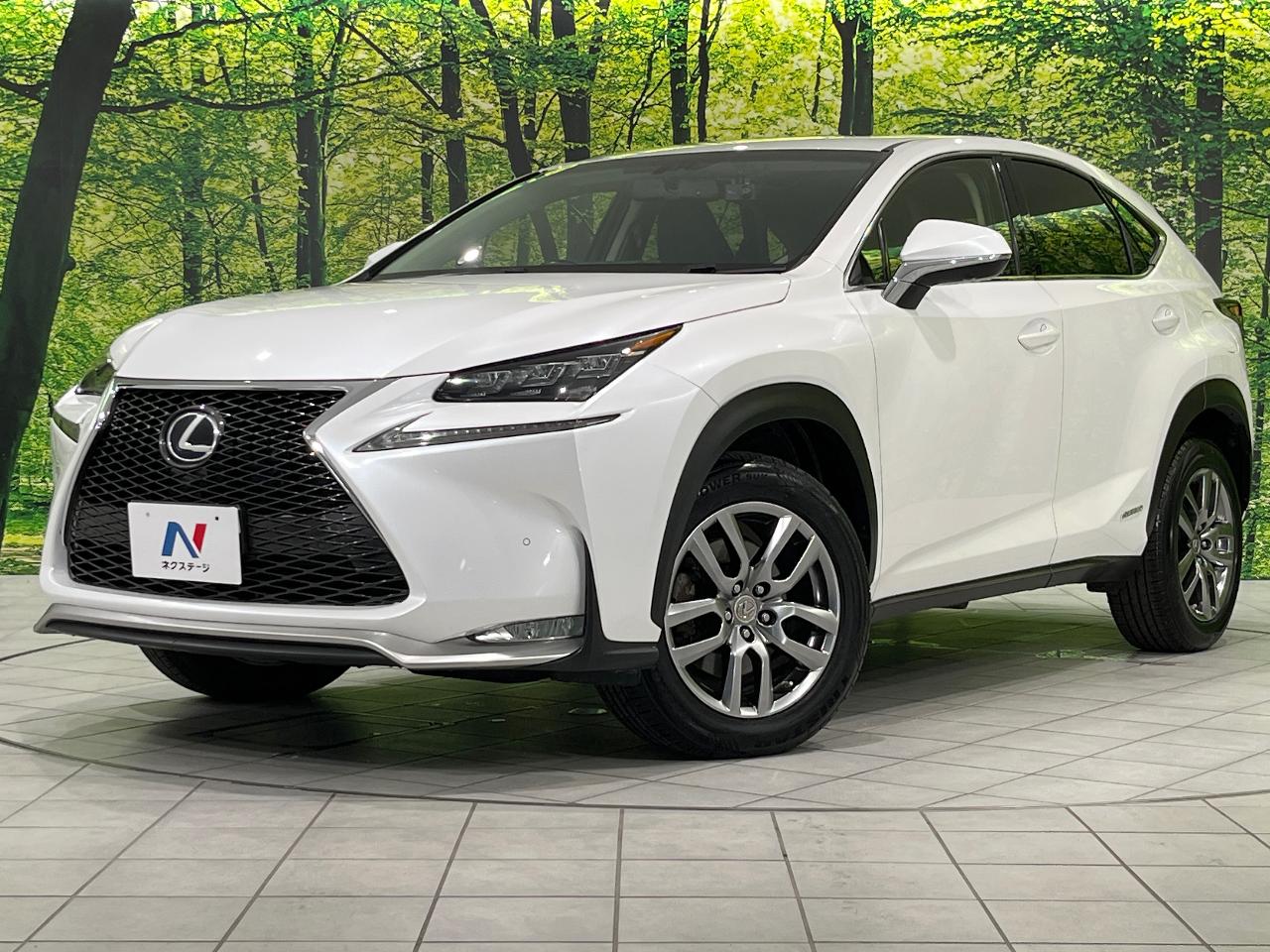 2015 Lexus NX Hybrid NX300h I Package