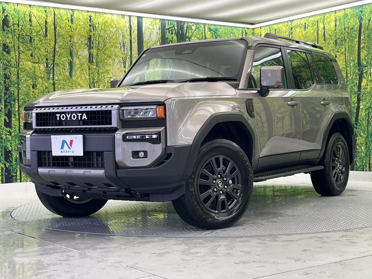 2025 Toyota LandCruiser 250 VX