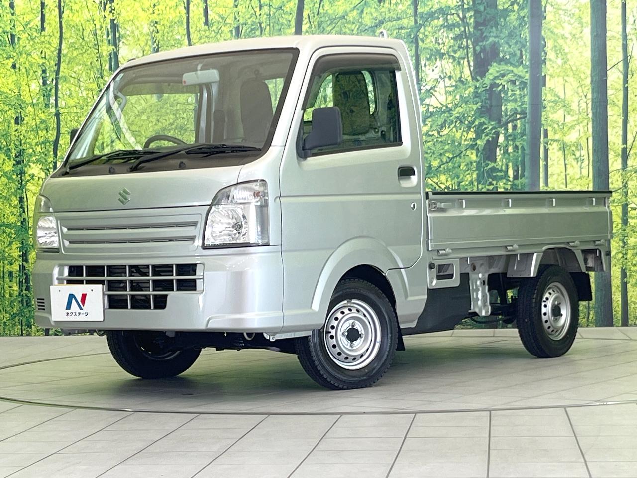 2017 Suzuki Carry Truck KC Power Steering