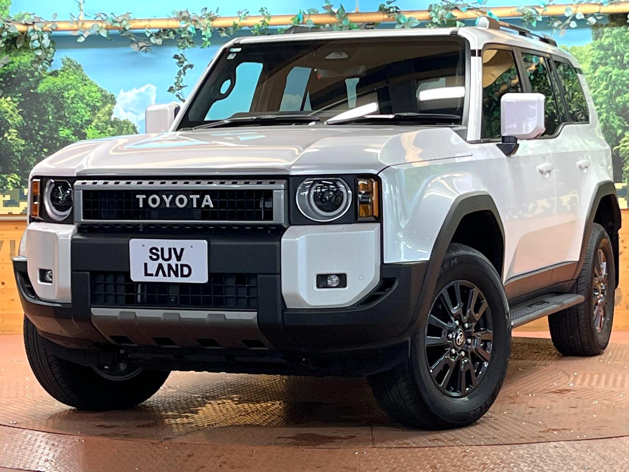 2025 Toyota LandCruiser 250 VX