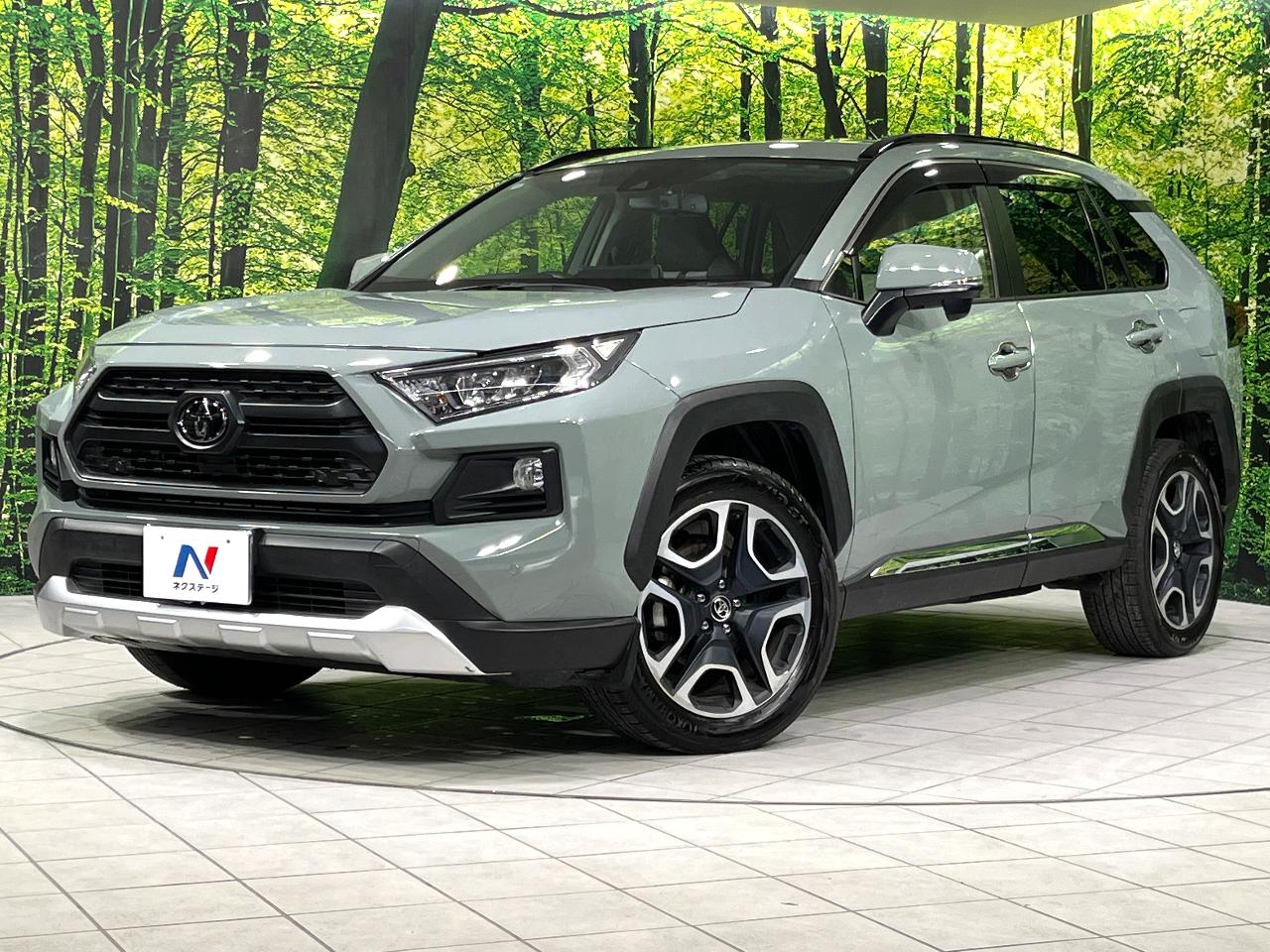 2019 Toyota RAV4 5D Adventure