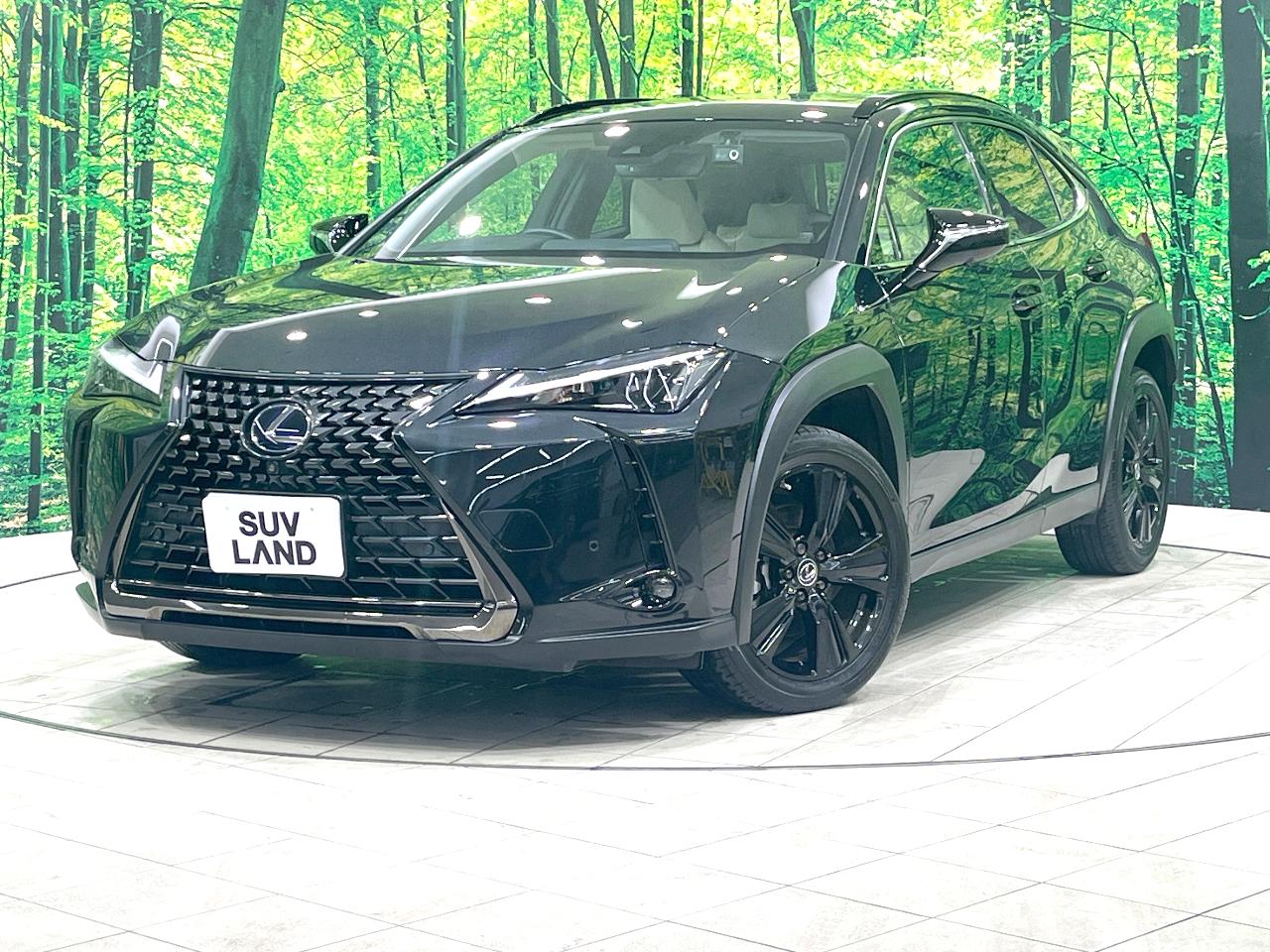 2020 Lexus UX Hybrid UX250h Urban Elegance Special Edition