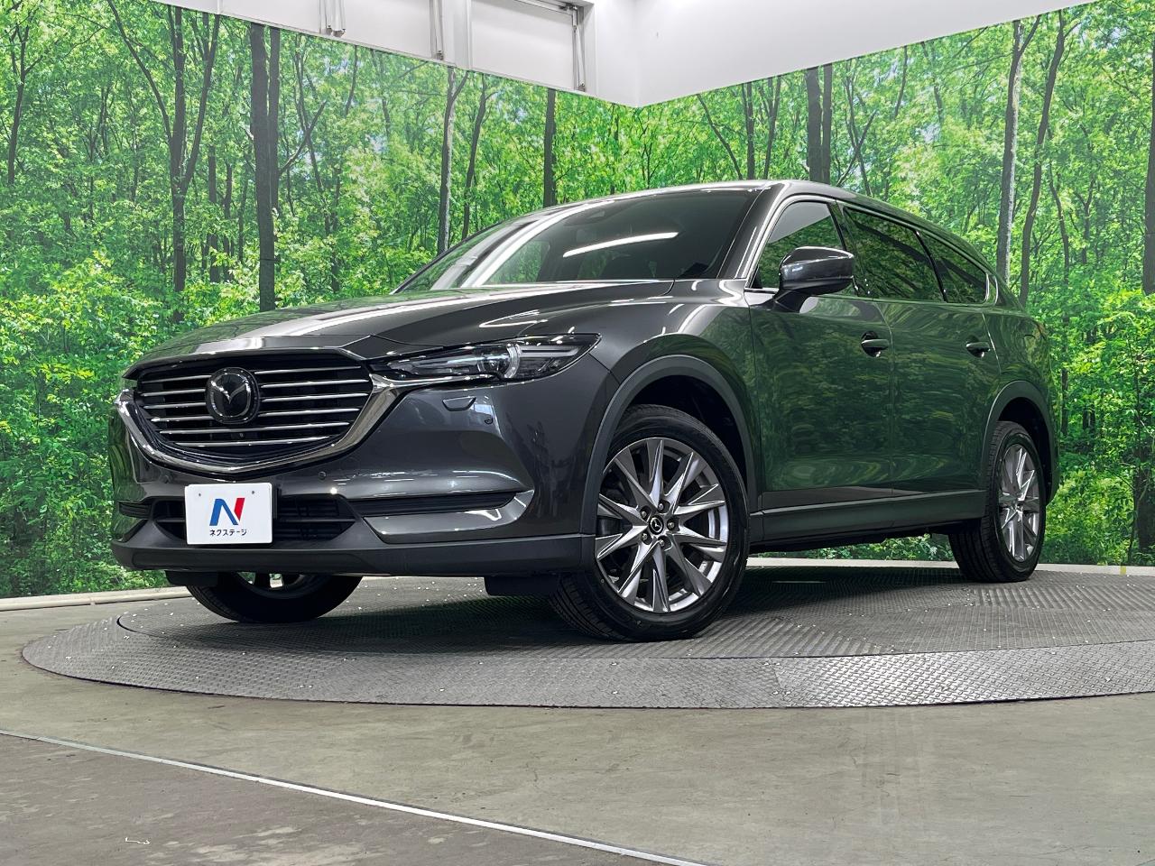 2018 Mazda CX-8 XD Proactive