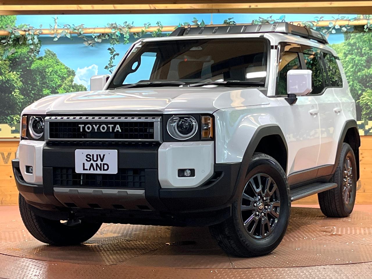 2025 Toyota LandCruiser 250 VX