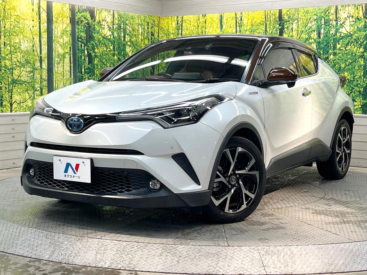 2019 Toyota C-HR Hybrid G Mode Bruno