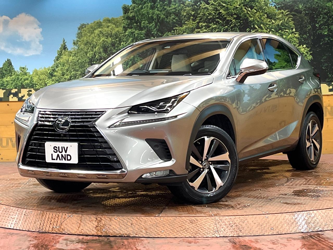 2018 Lexus NX NX300i Package