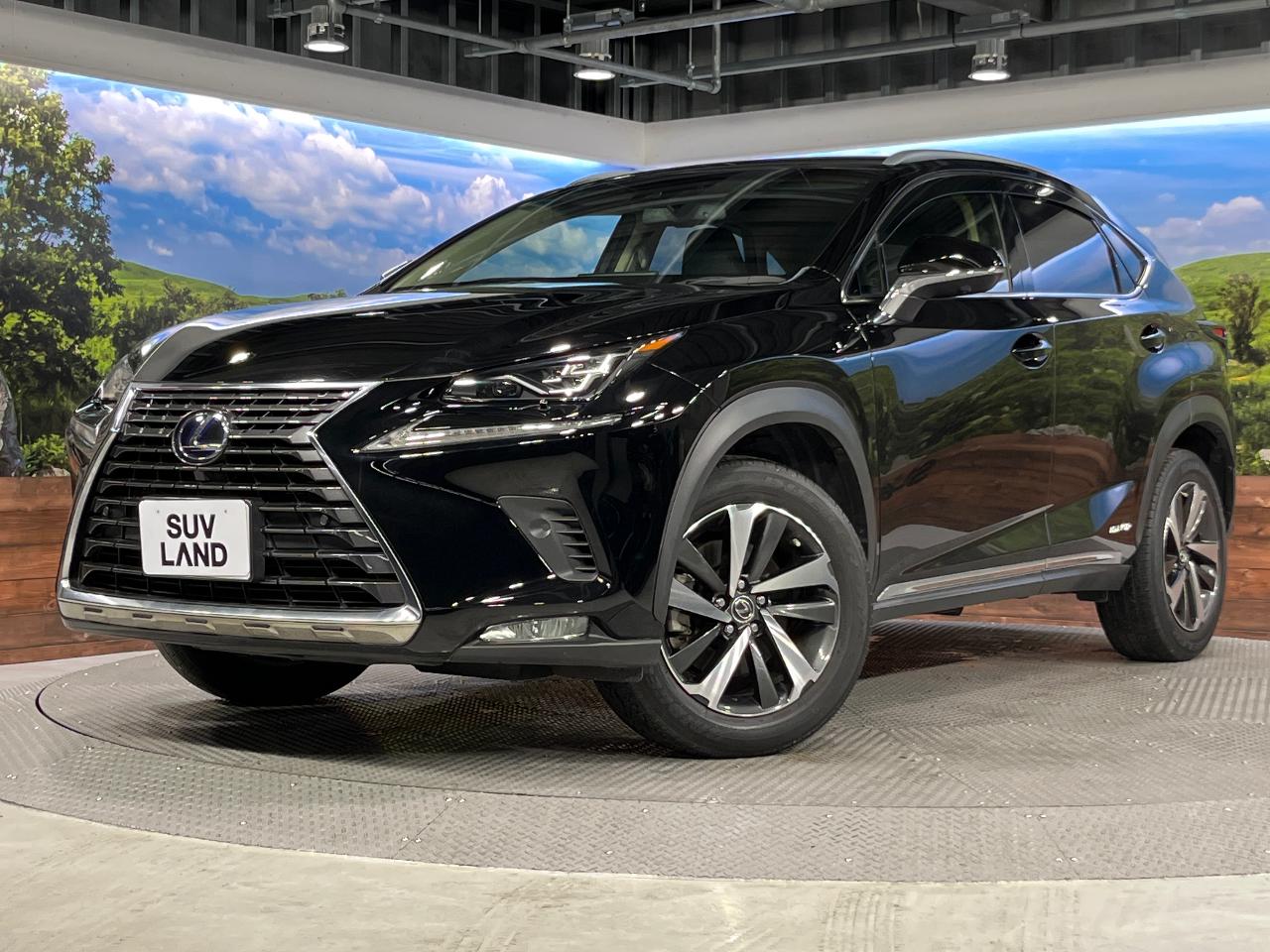 2019 Lexus NX Hybrid NX300h I Package