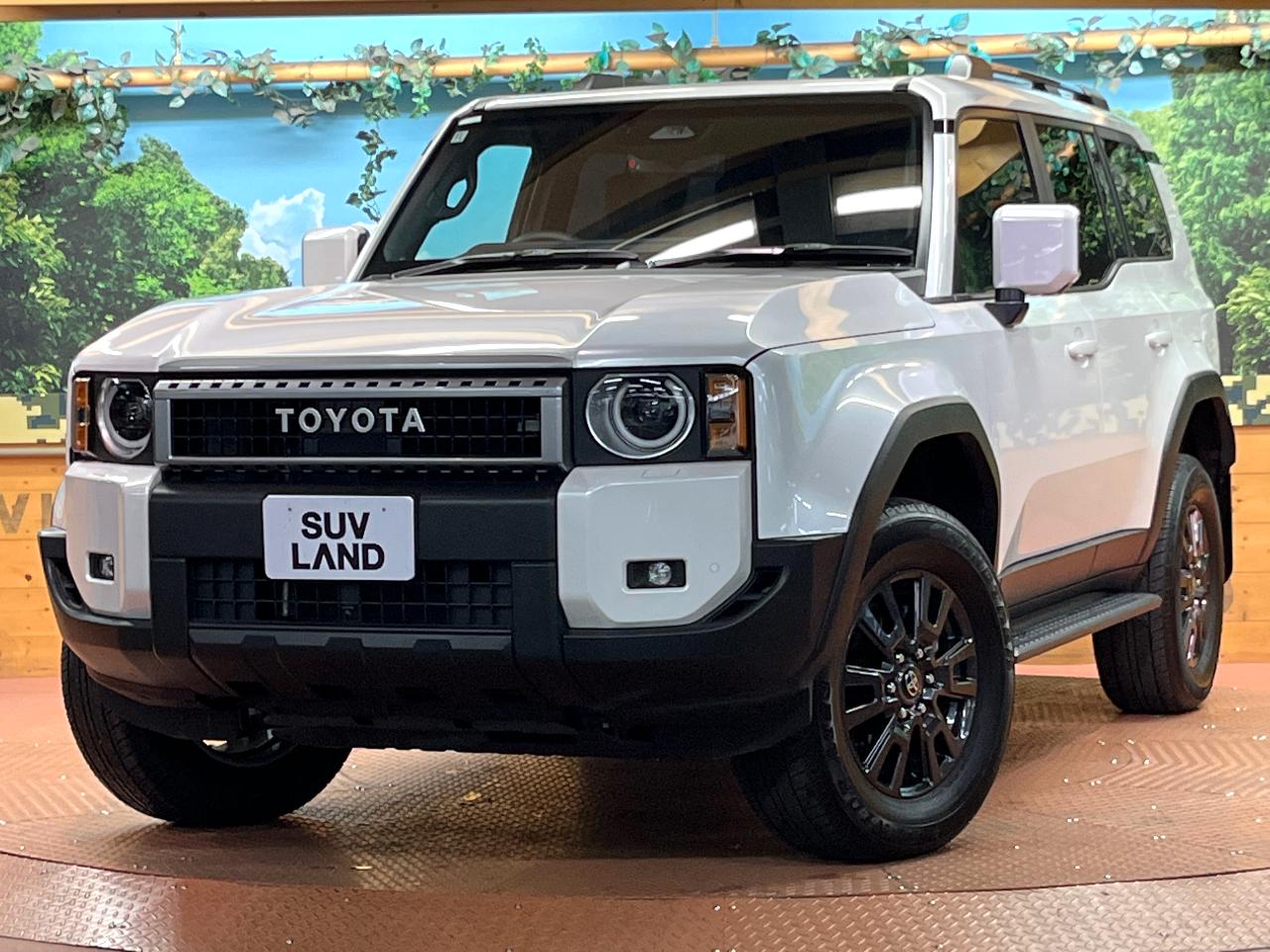 2024 Toyota LandCruiser 250 VX