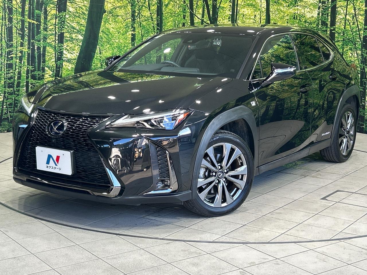 2020 Lexus UX Hybrid UX250h F SPORT