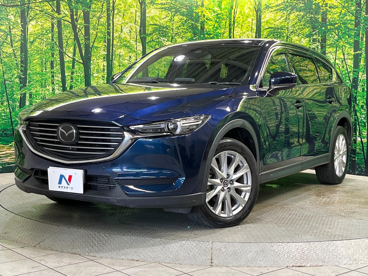 2018 Mazda CX-8 XD Proactive