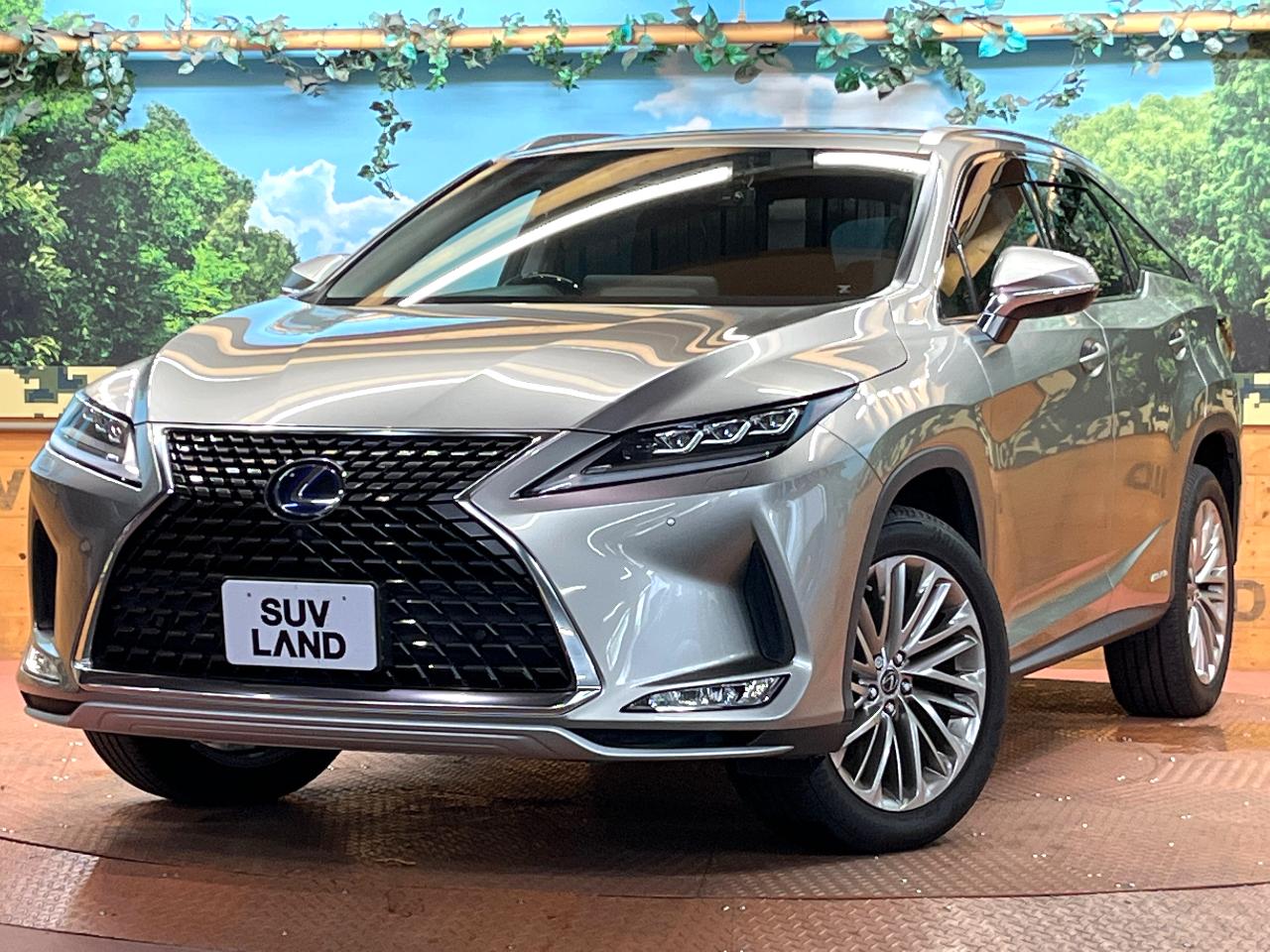 2019 Lexus RX Hybrid RX450hL