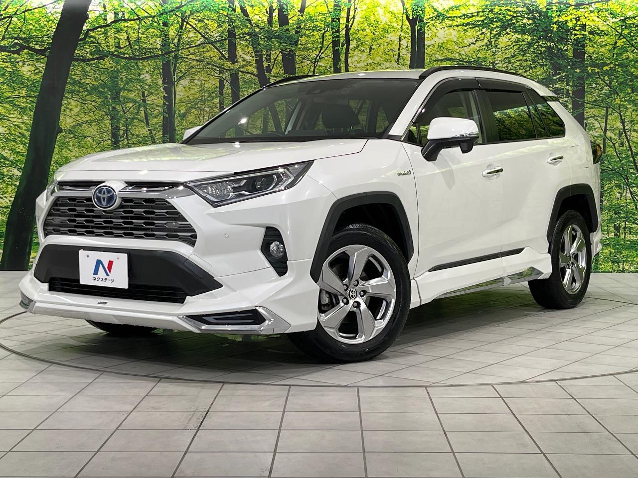 2020 Toyota RAV4 Hybrid Hybrid G