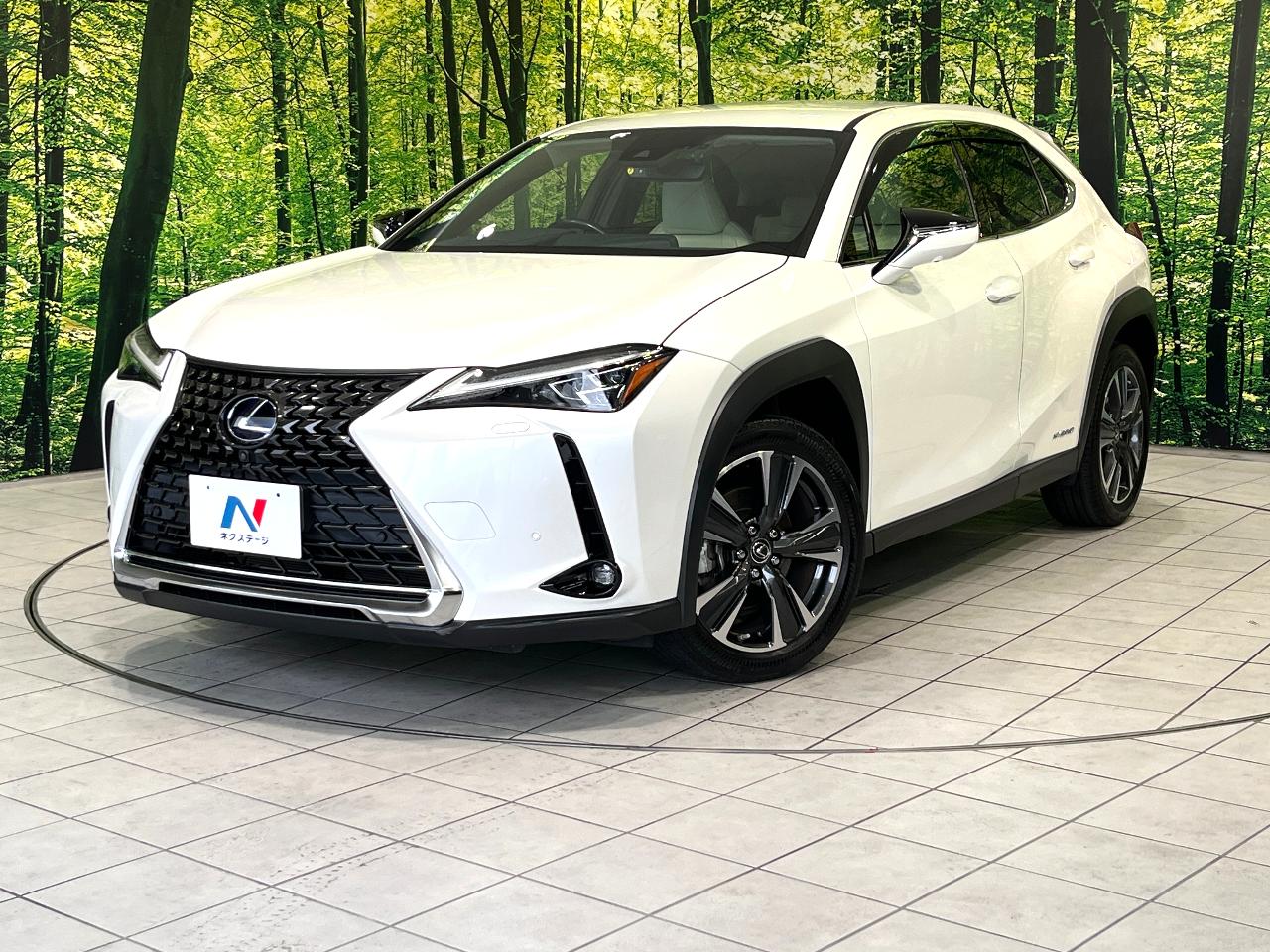 2019 Lexus UX Hybrid UX250h VERSION L