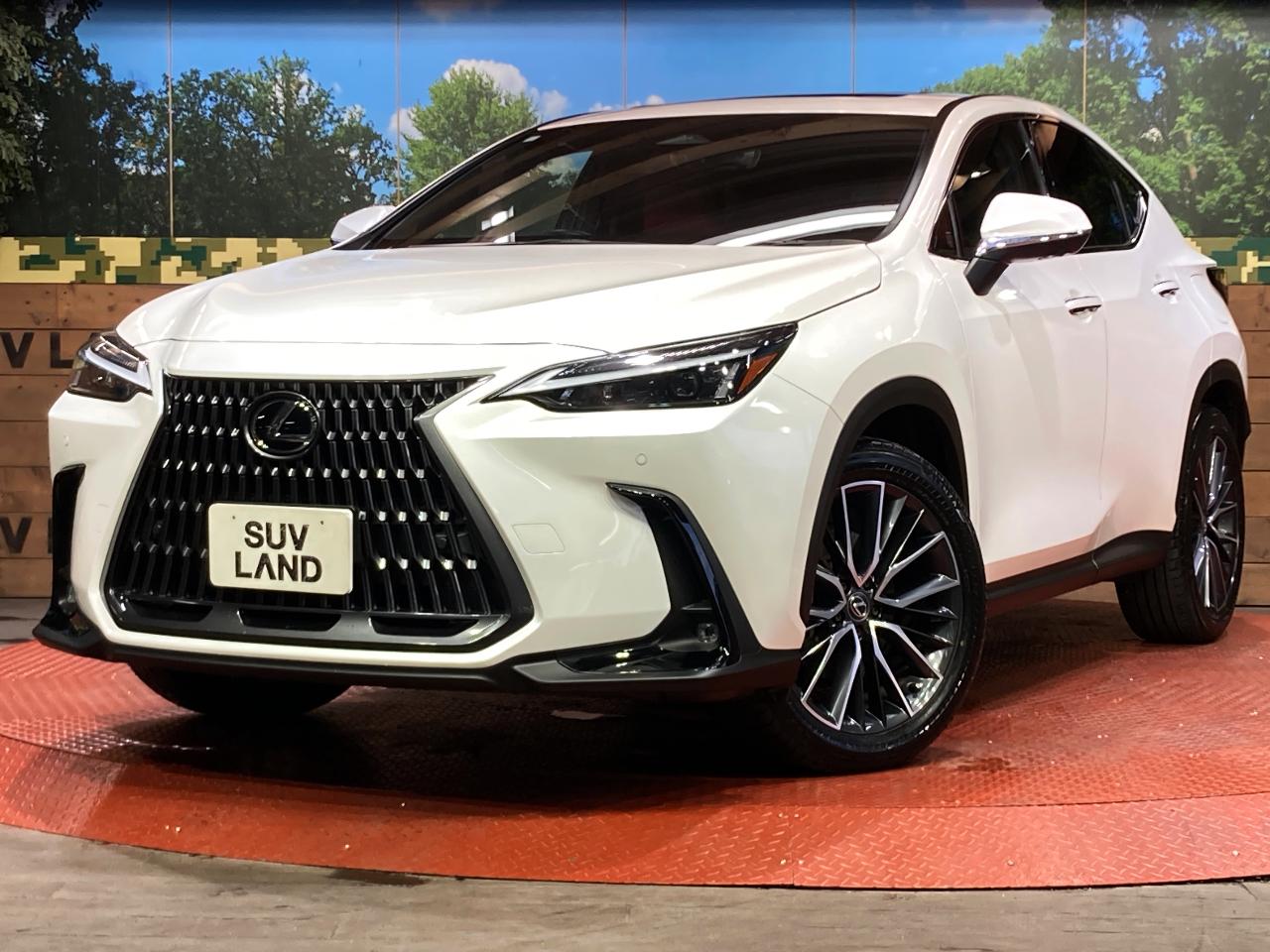 2023 Lexus NX NX250