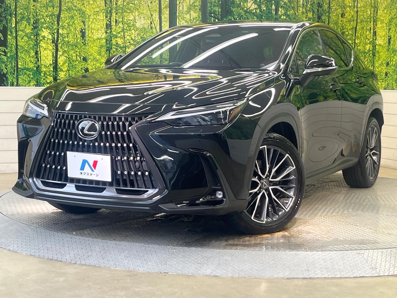 2022 Lexus NX Hybrid NX350h VERSION L
