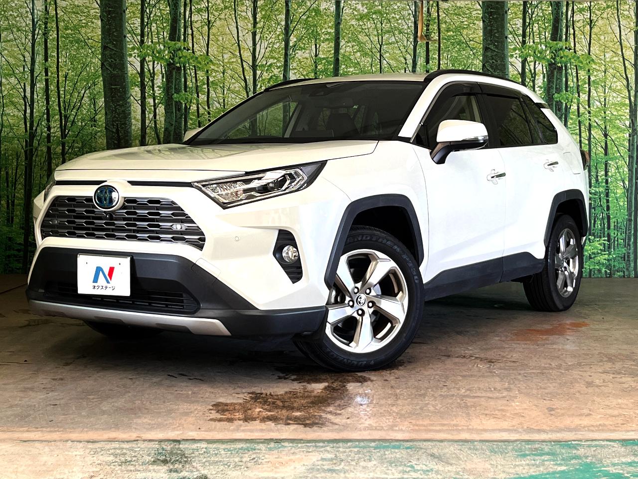 2020 Toyota RAV4 Hybrid Hybrid G