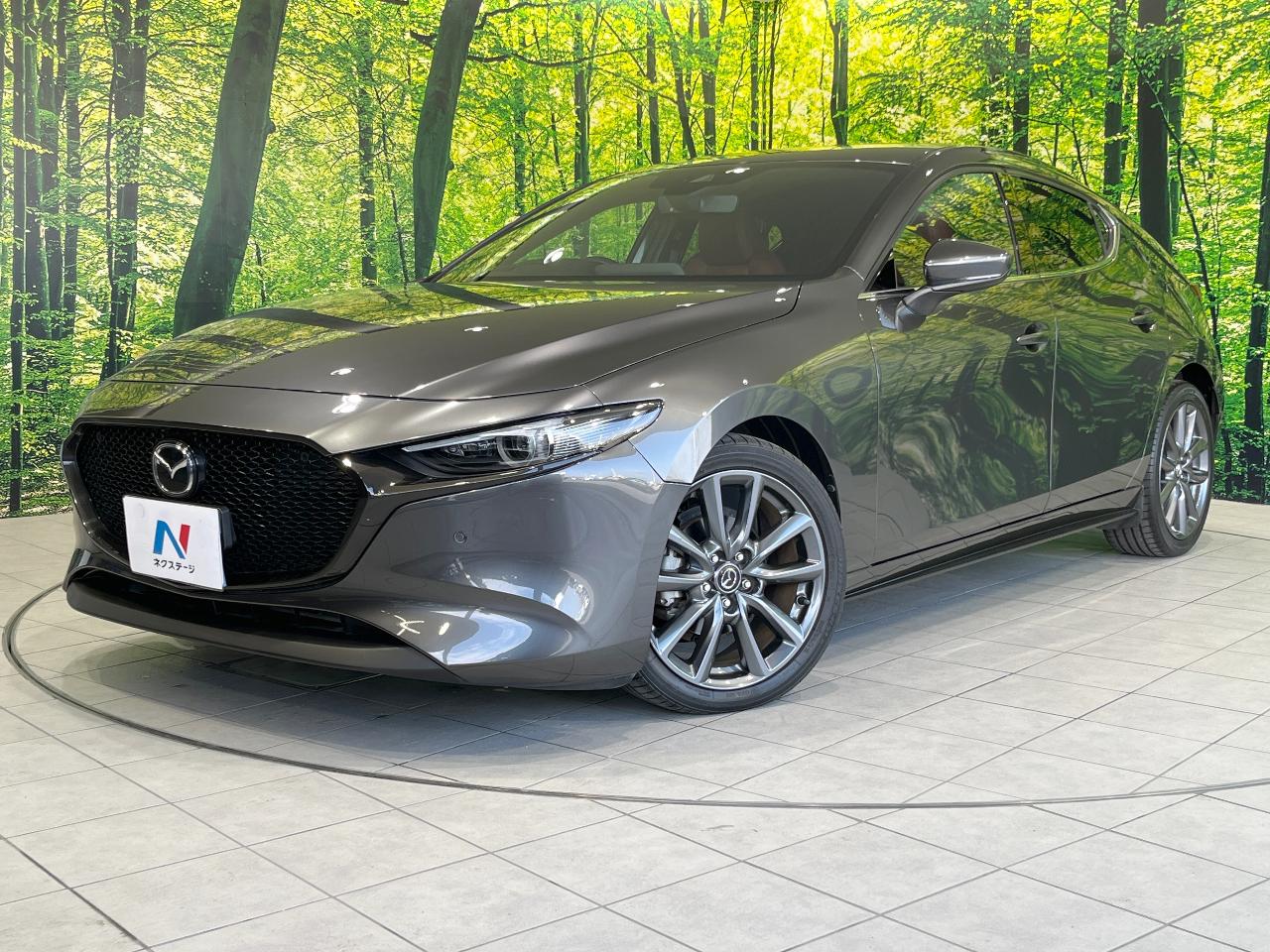 2019 Mazda Mazda3 Fastback 20S Burgundy Selection