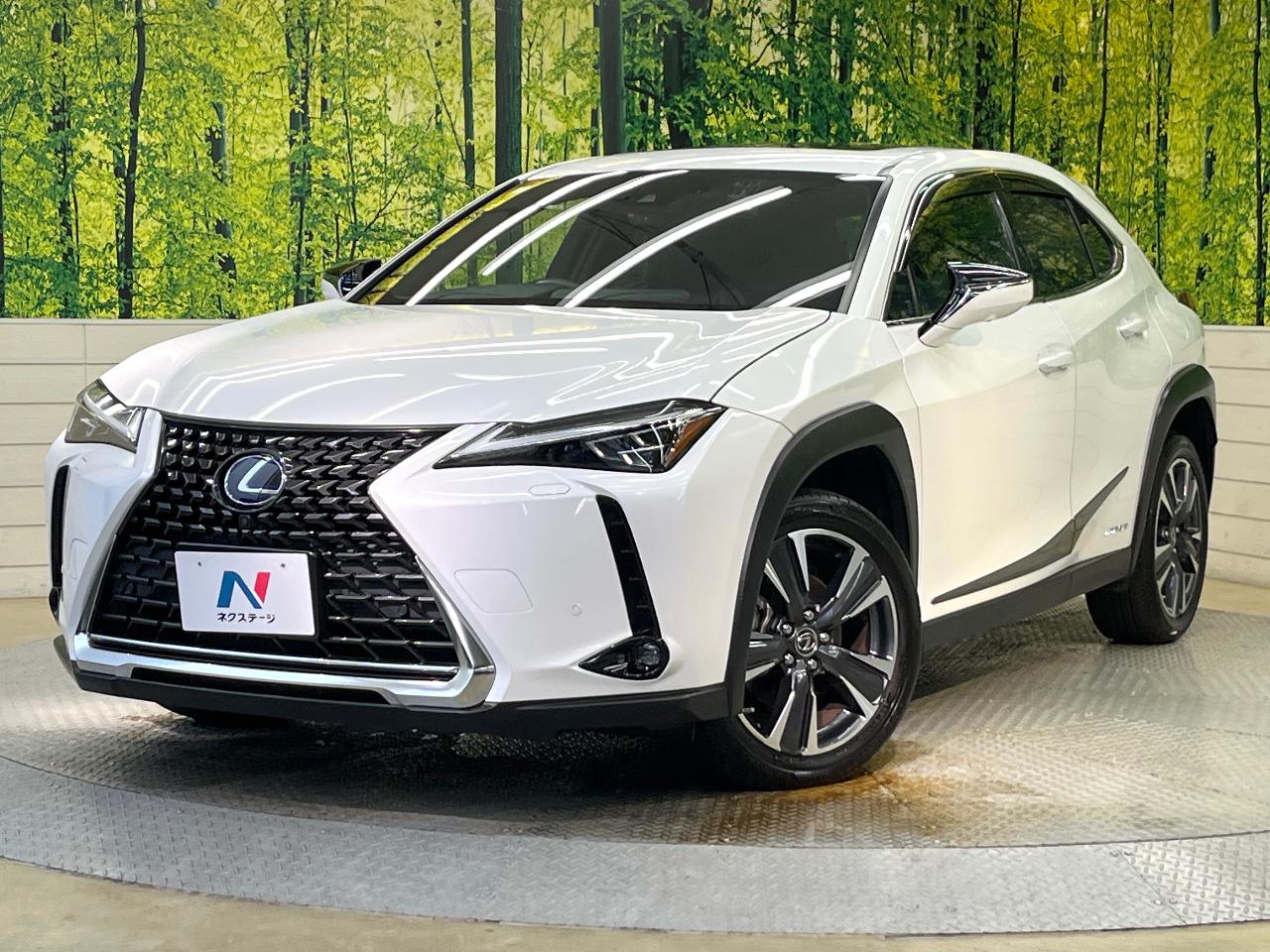 2021 Lexus UX Hybrid UX250h VERSION L