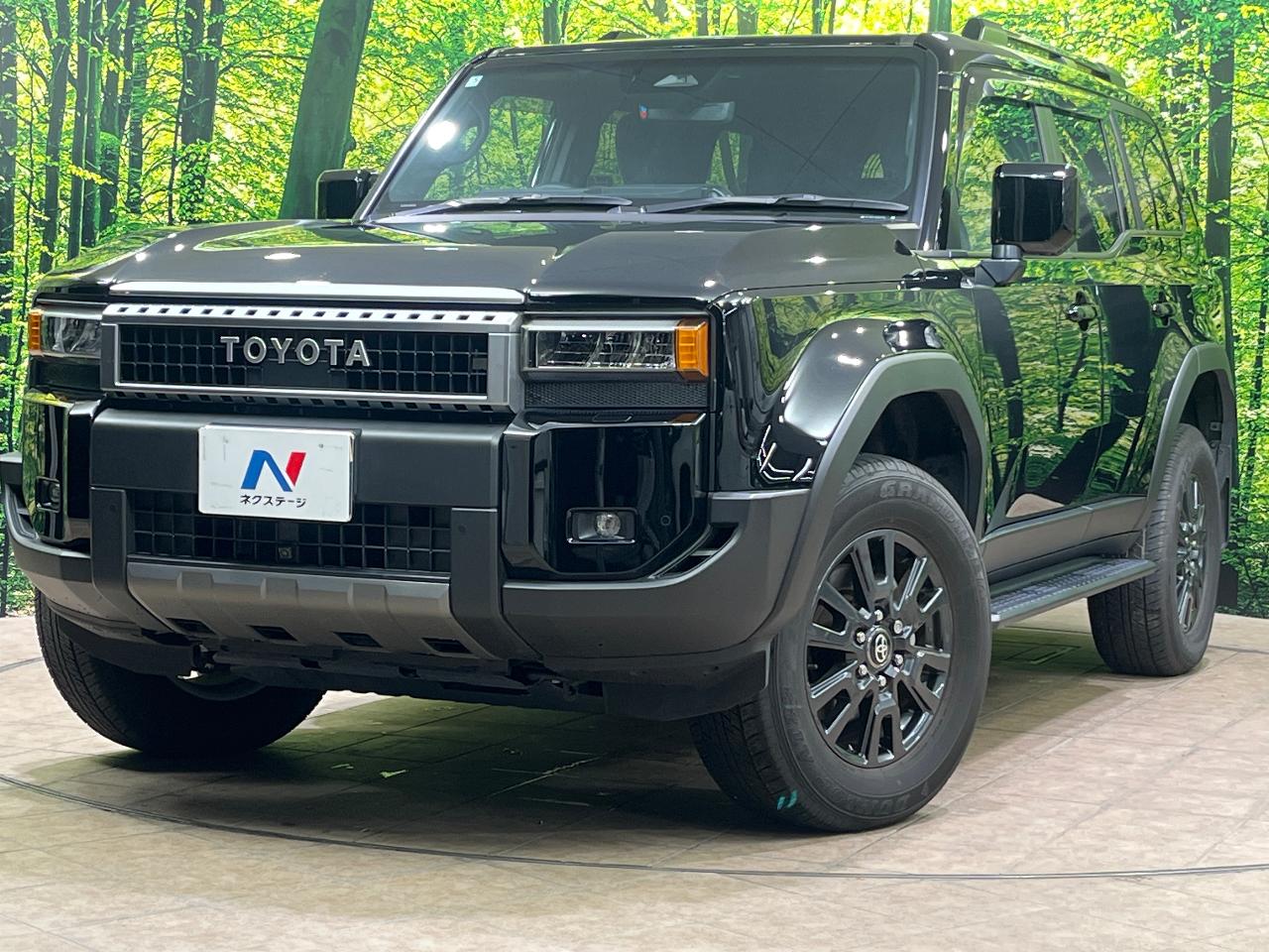 2025 Toyota LandCruiser 250 VX
