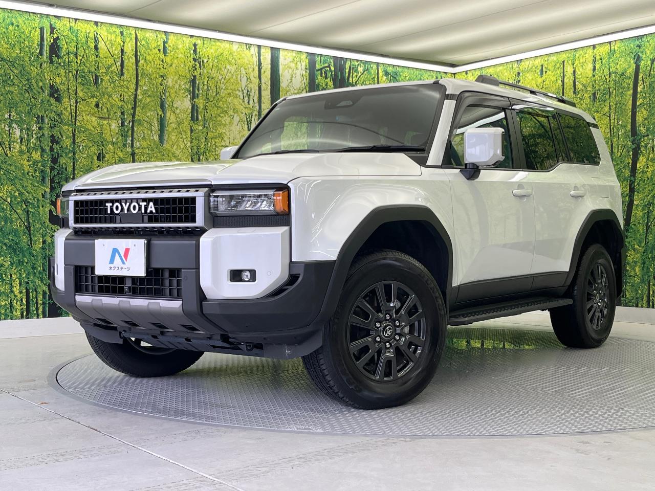 2025 Toyota LandCruiser 250 VX