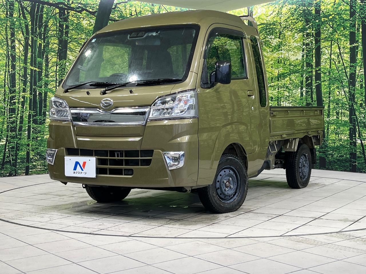 2020 Daihatsu Hijet Truck Jumbo SAIIIt