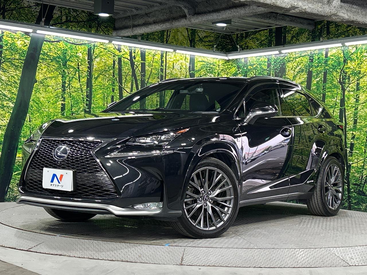 2015 Lexus NX Hybrid NX300h F SPORT