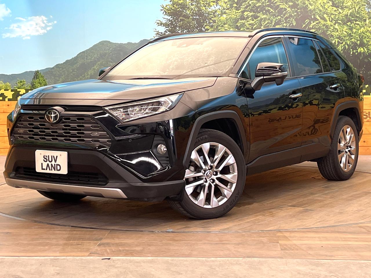 2019 Toyota RAV4 5D G Z Package