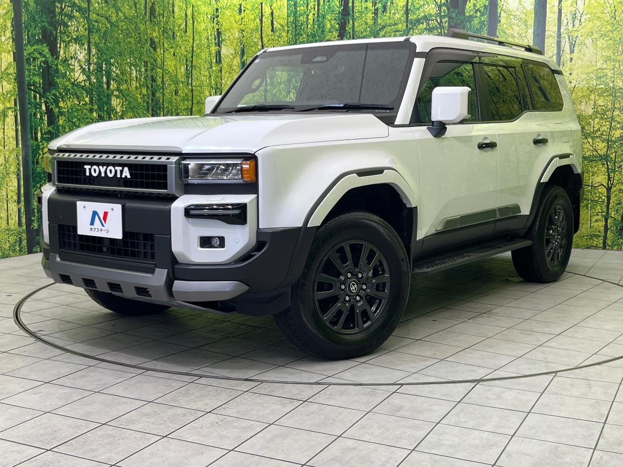 2024 Toyota LandCruiser 250 VX