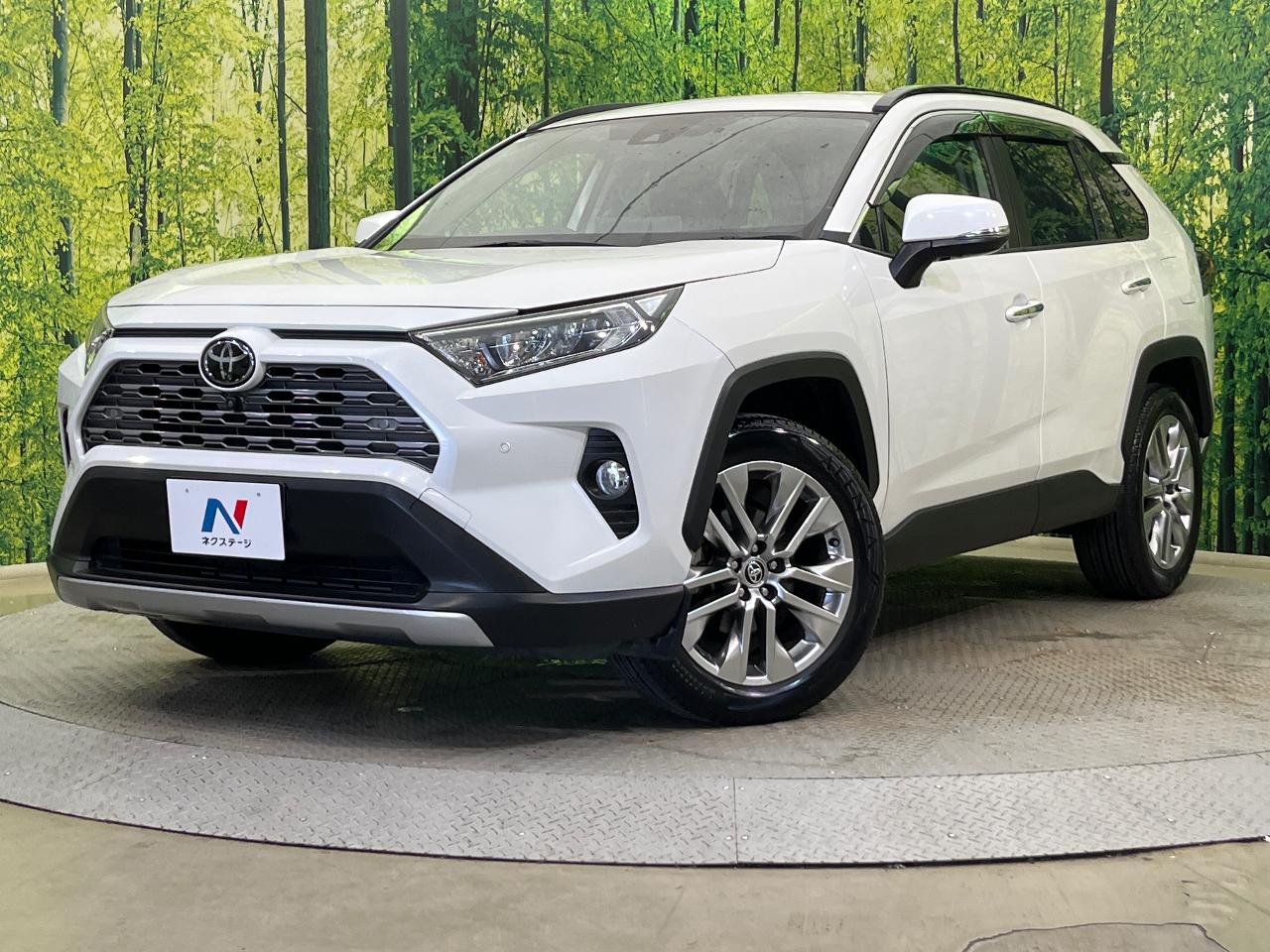2021 Toyota RAV4 5D G Z Package