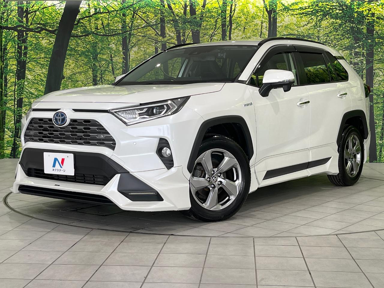2019 Toyota RAV4 Hybrid Hybrid G