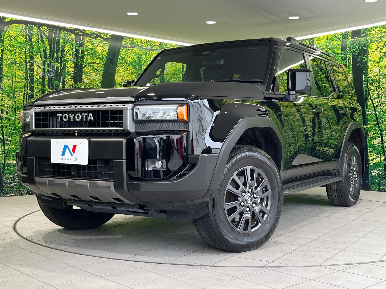 2025 Toyota LandCruiser 250 VX