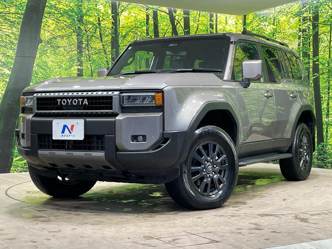 2025 Toyota LandCruiser 250 VX