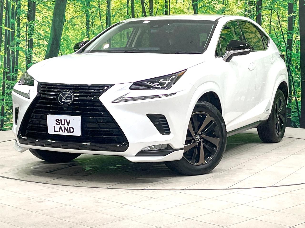 2019 Lexus NX Hybrid NX300h Special Edition Black Sequence