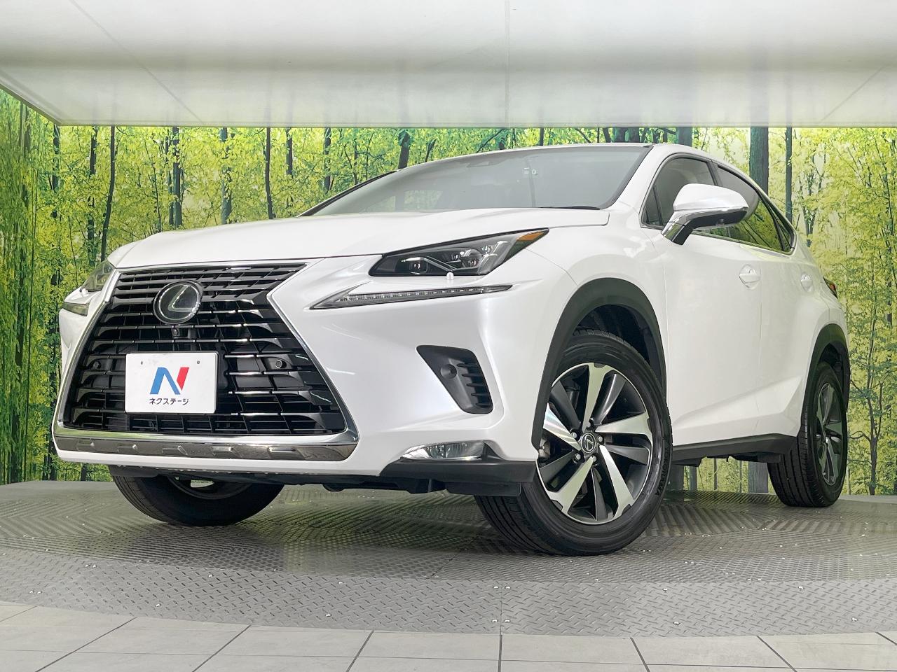 2018 Lexus NX NX300i Package