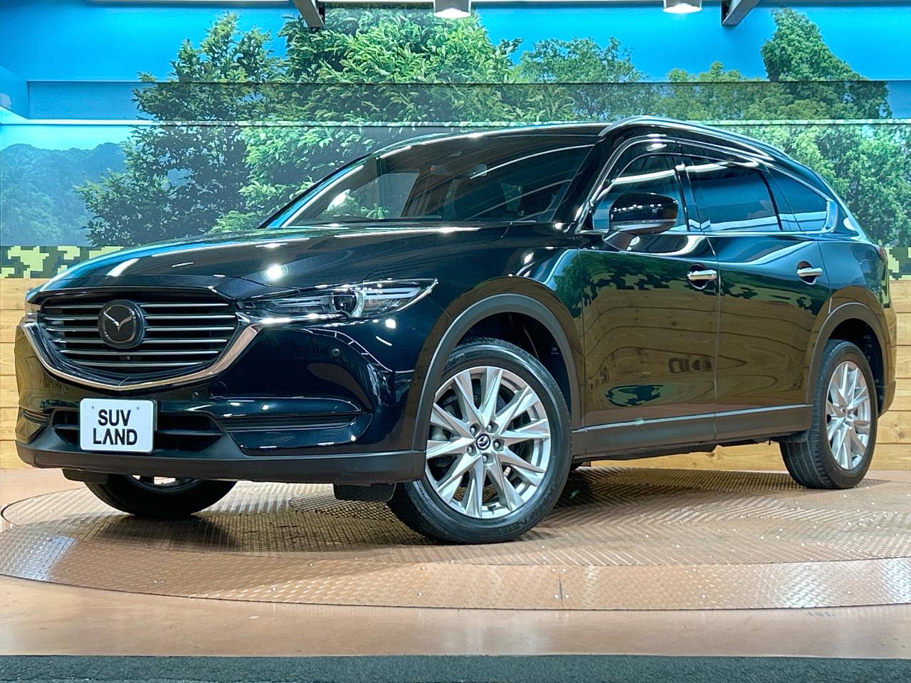 2018 Mazda CX-8 XD Proactive