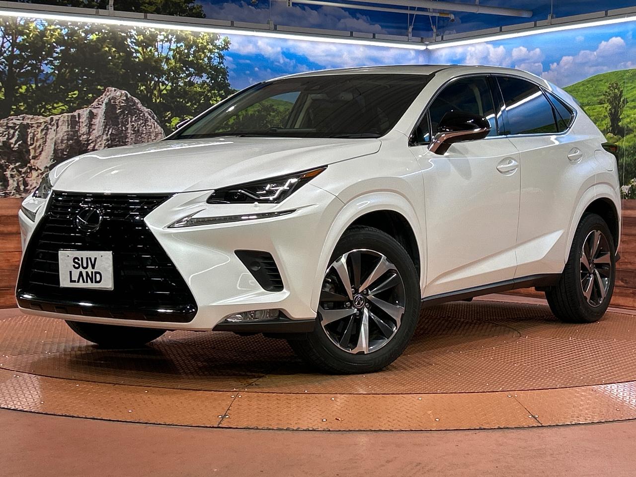 2019 Lexus NX NX300 Black Sequence Special Edition