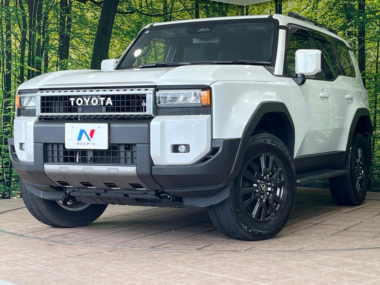 2026 Toyota LandCruiser 250 VX