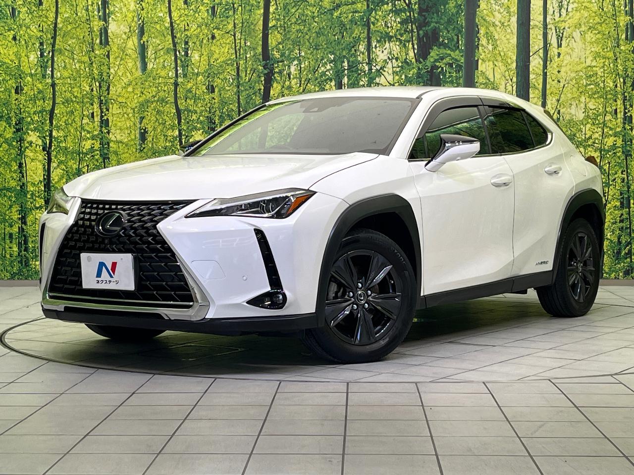 2020 Lexus UX Hybrid UX250h Brown Edition