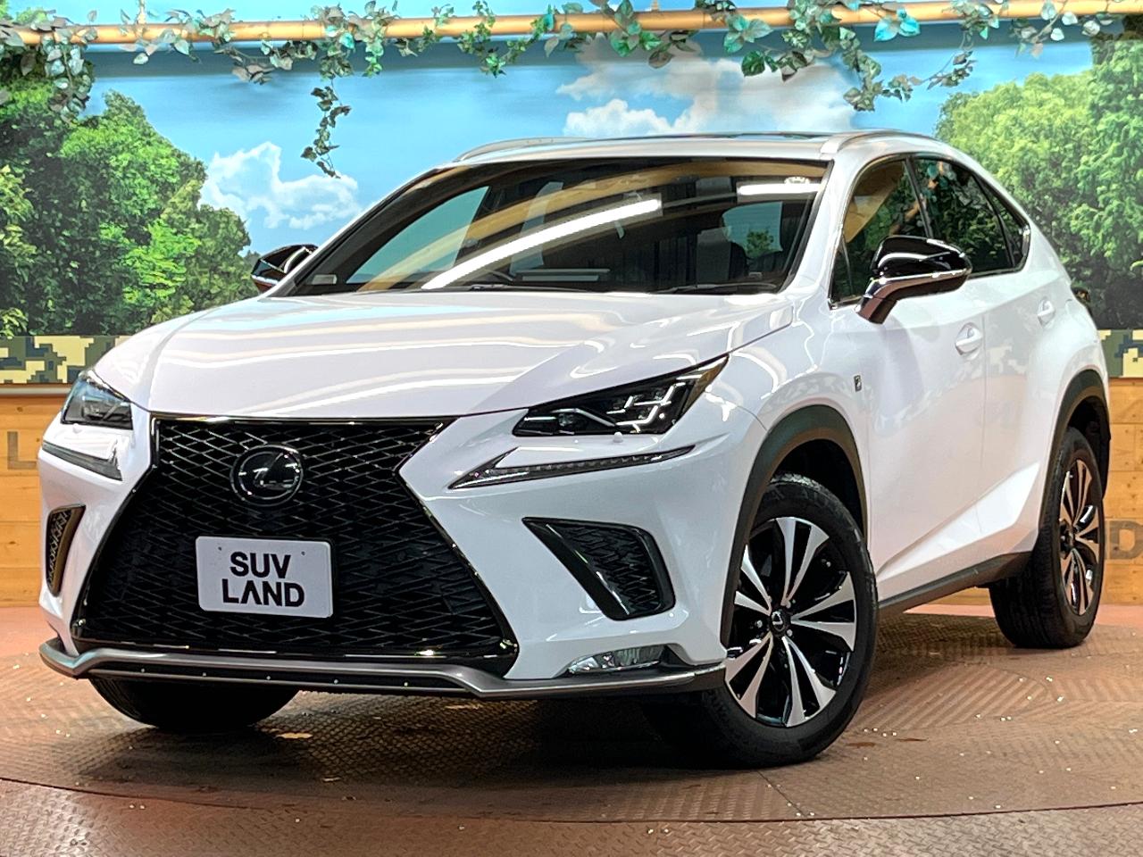 2018 Lexus NX NX300 F Sport