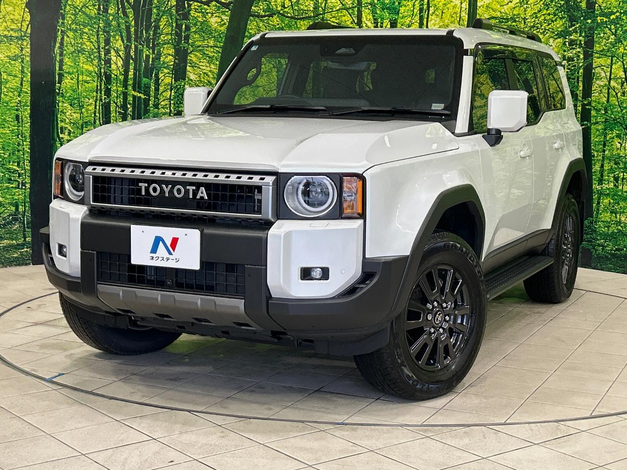 2025 Toyota LandCruiser 250 VX