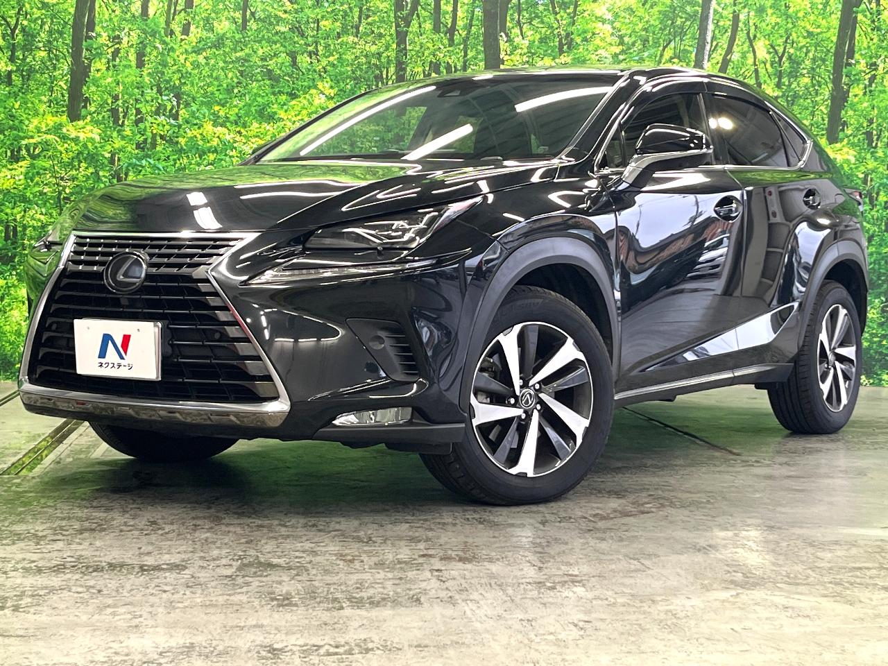 2018 Lexus NX NX300i Package