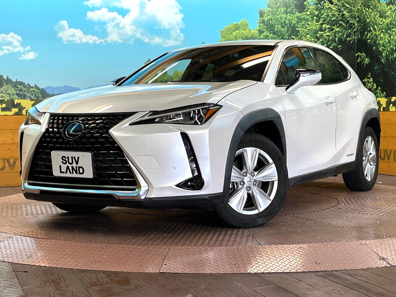 2020 Lexus UX Hybrid UX250h VERSION C