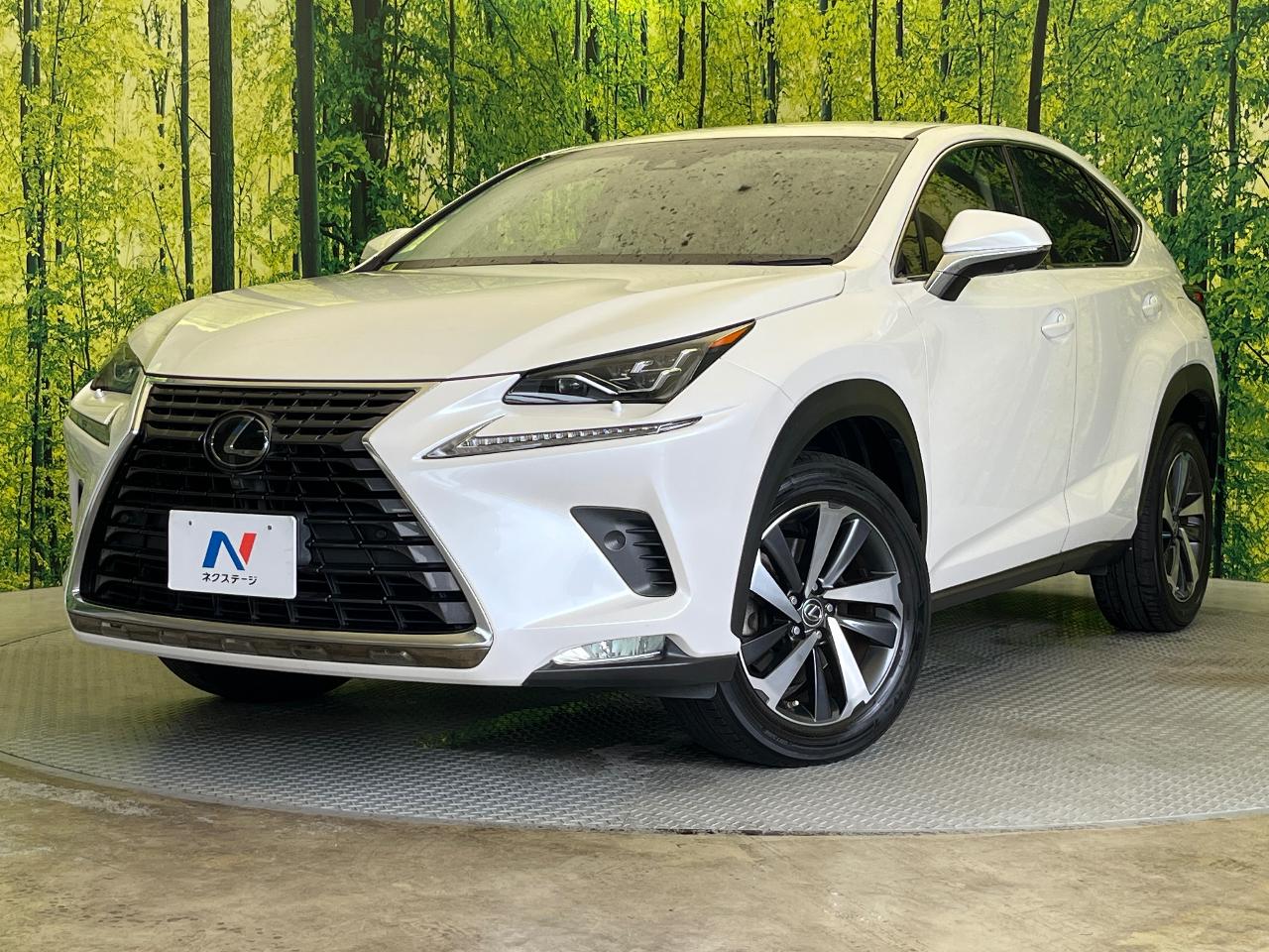 2017 Lexus NX NX300i Package