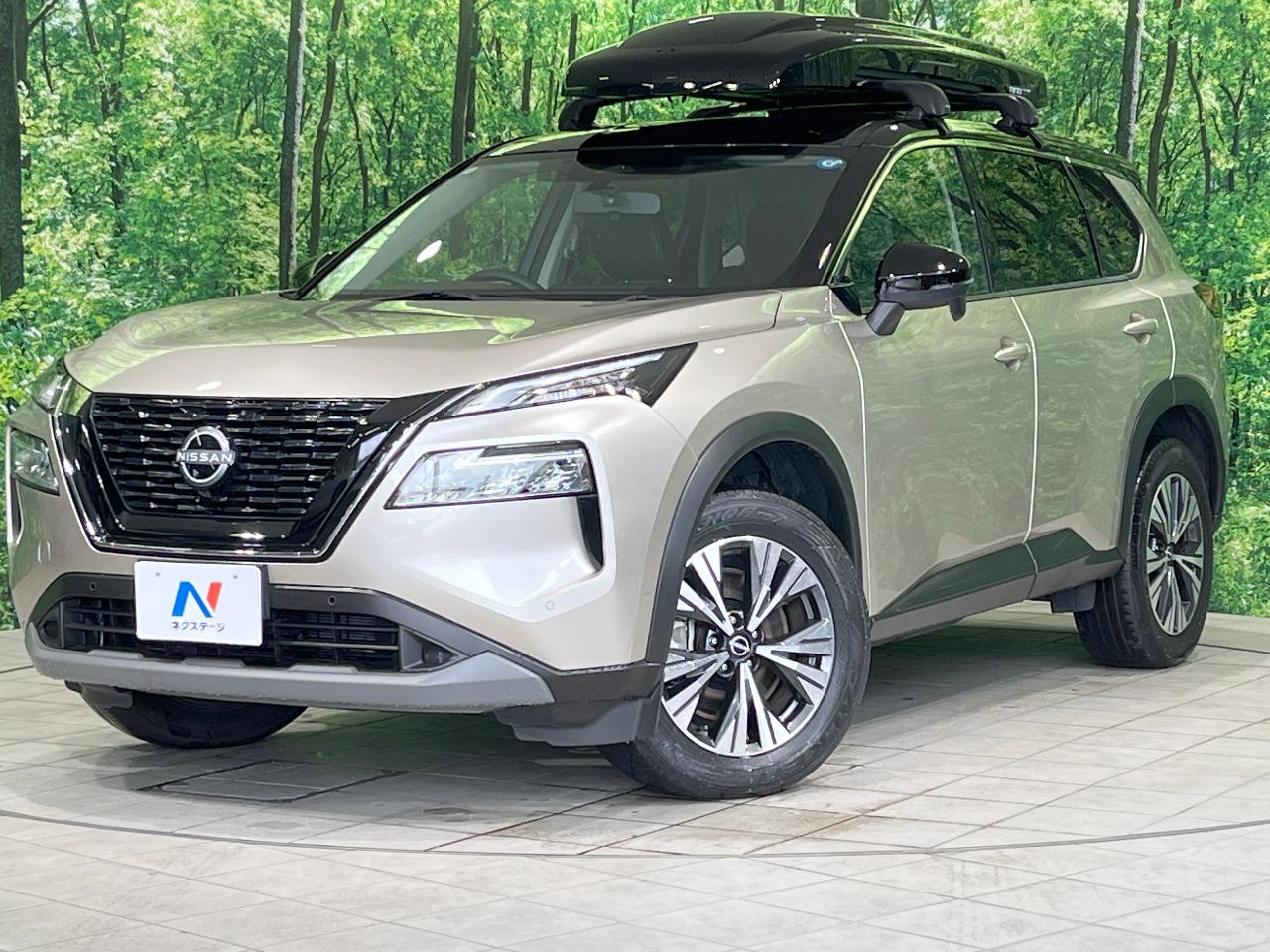 2024 Nissan X-Trail X e-4ORCE