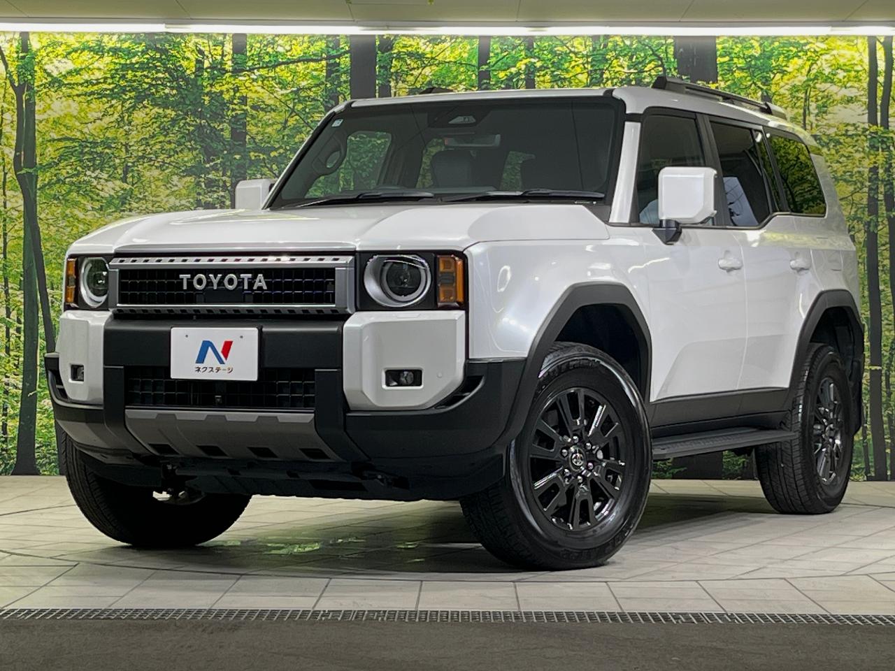 2025 Toyota LandCruiser 250 VX