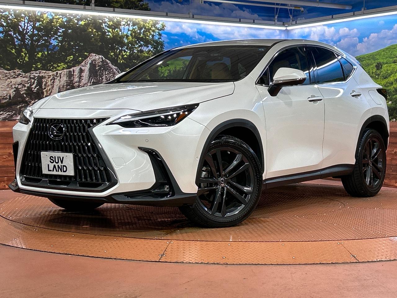 2022 Lexus NX Hybrid NX350h VERSION L