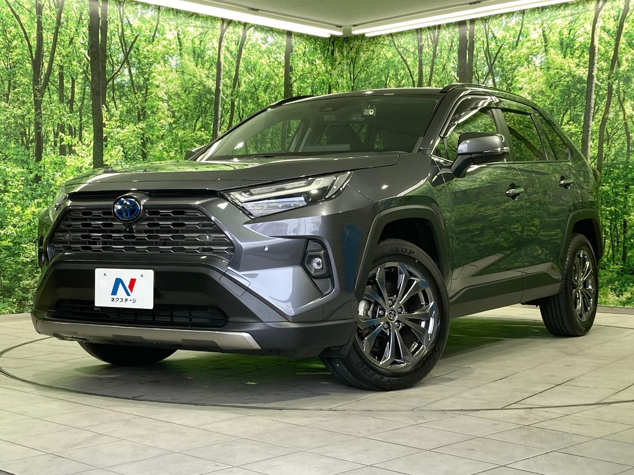 2024 Toyota RAV4 Hybrid Hybrid G