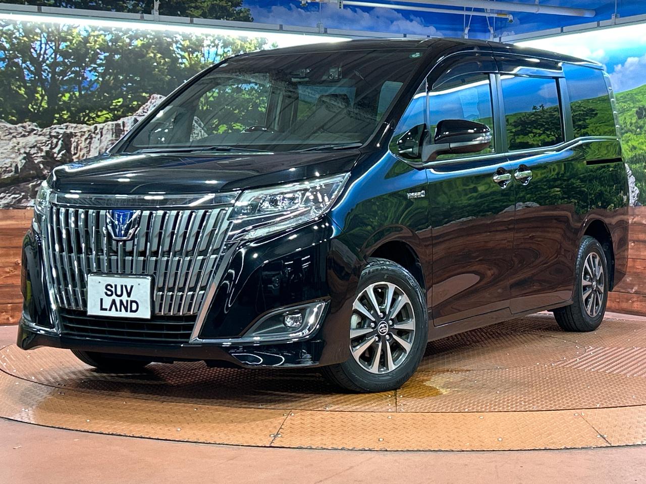 2017 Toyota Esquire Hybrid Hybrid Gi Premium Package