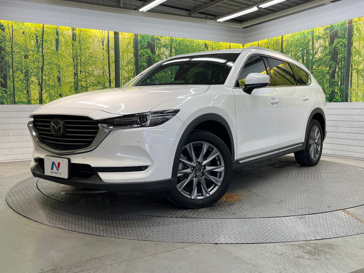 2020 Mazda CX-8 XD Proactive S Package