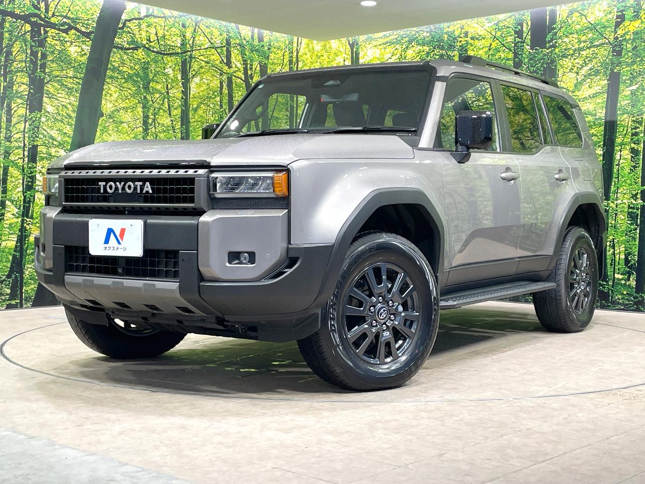 2025 Toyota LandCruiser 250 VX